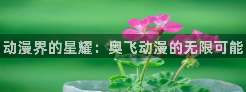 囧次元正版入口：动漫界的星耀：奥飞动漫的无限可能