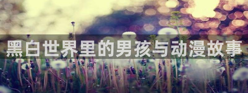囧次元 翻译：黑白世界里的男孩与动漫故事