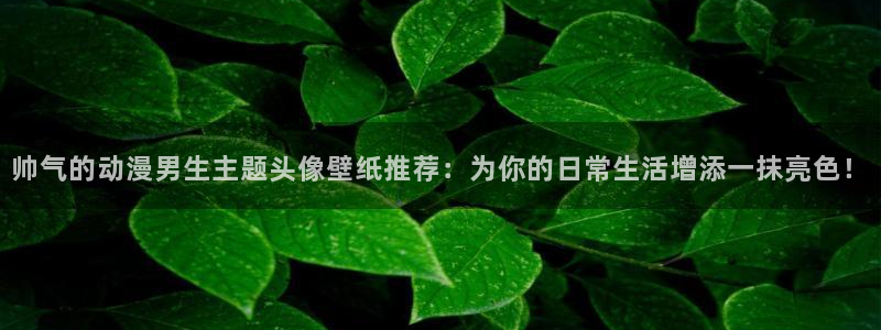 囧次元下载最新：帅气的动漫男生主题头像壁纸推荐：为你的日常生活增添一抹亮色！