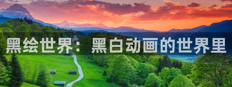 囧次元官方版：黑绘世界：黑白动画的世界里