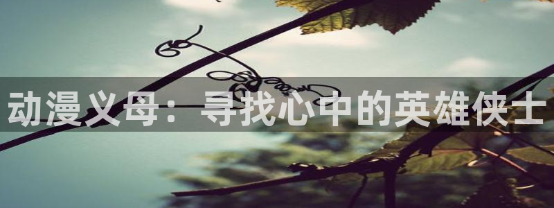 囧次元下载正版：动漫义母：寻找心中的英雄侠士